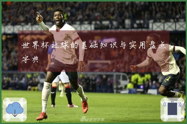 世界杯让球的基础知识与实用盘点字典