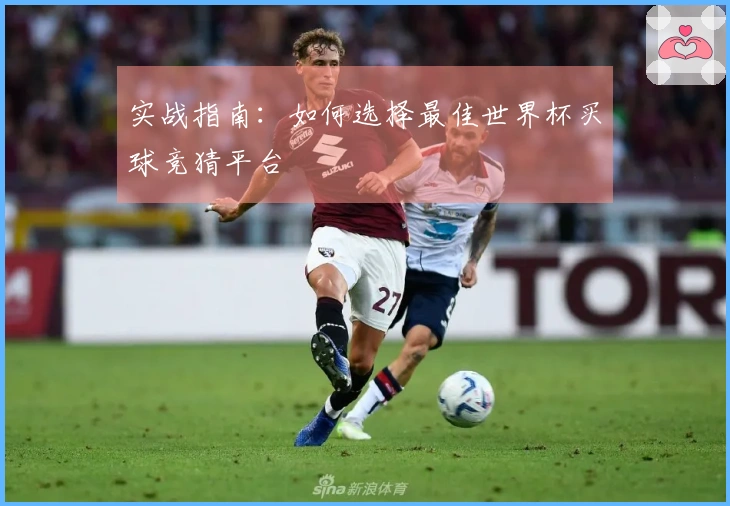 实战指南：如何选择最佳世界杯买球竞猜平台