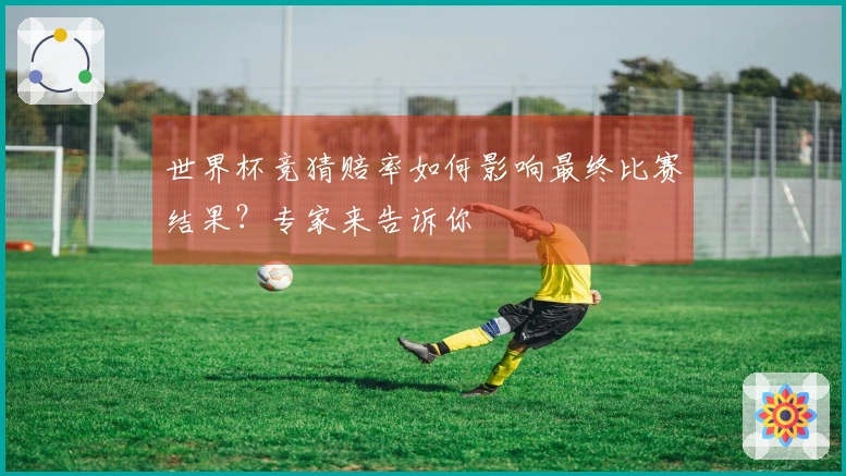 世界杯竞猜赔率如何影响最终比赛结果？专家来告诉你