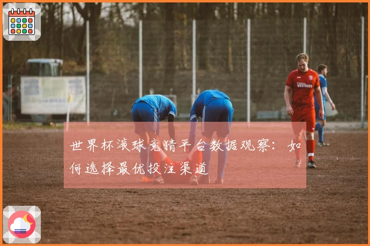 世界杯滚球竞猜平台数据观察：如何选择最优投注渠道